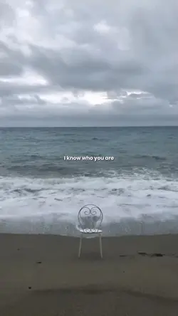 you are - vlab