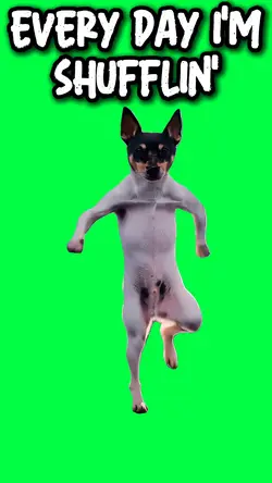 PARTY ROCK DOG DANCE