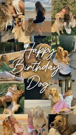 Happy birthday dog 
