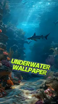WALLPAPER