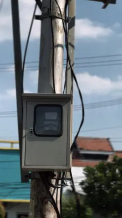 Animals X Legendaris