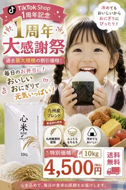 心米RICE
