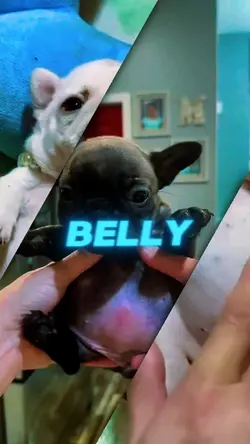 Wash my belly