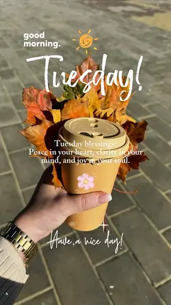 Tuesday Morning ❤️