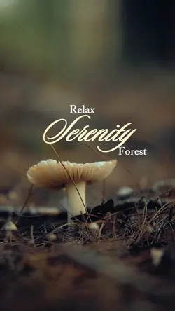 Relax nature forest