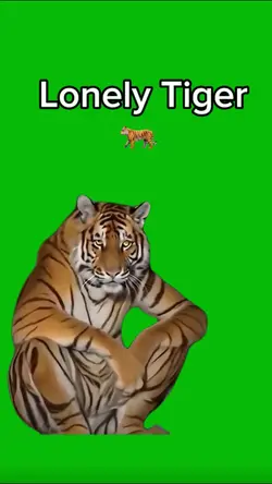 Lonely tiger