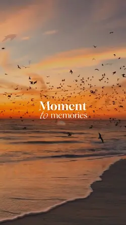 moments to memories 