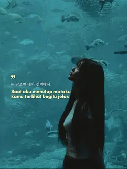Starlight Chani Sf9 