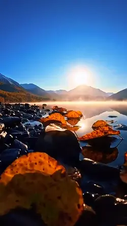 10 video or photo |