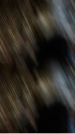 EXECUTIVE FLOW/FAT D