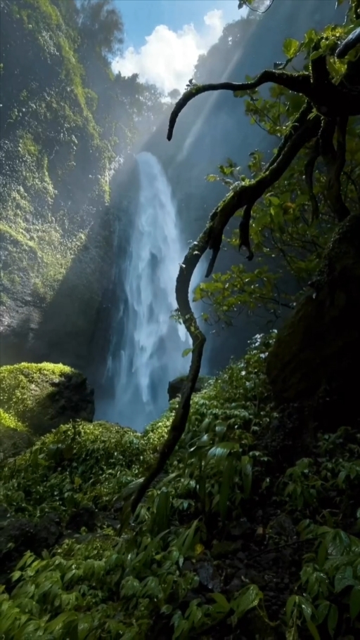 Cascada 