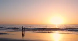 thebeachofsummer