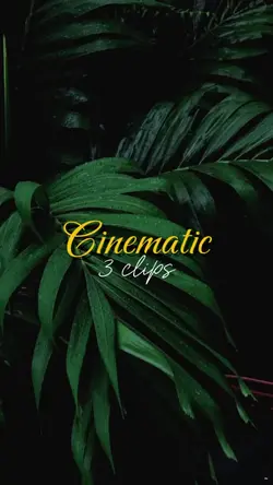 Cinematic 3 CLIPS