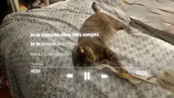 en nuit