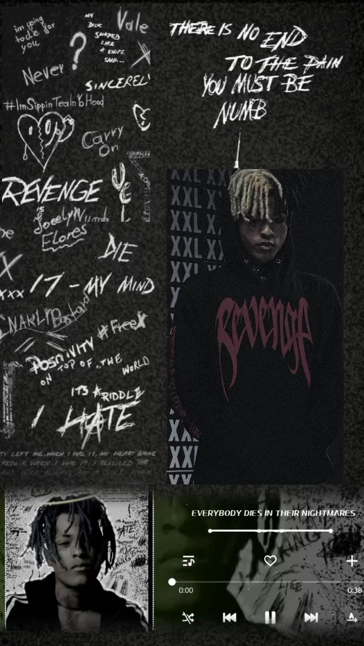 Cover Picture