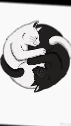 Ying Yang