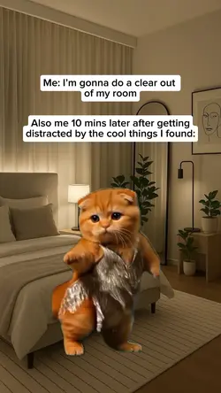 Funny cat dancing