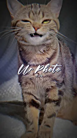 in de getto 2รูป