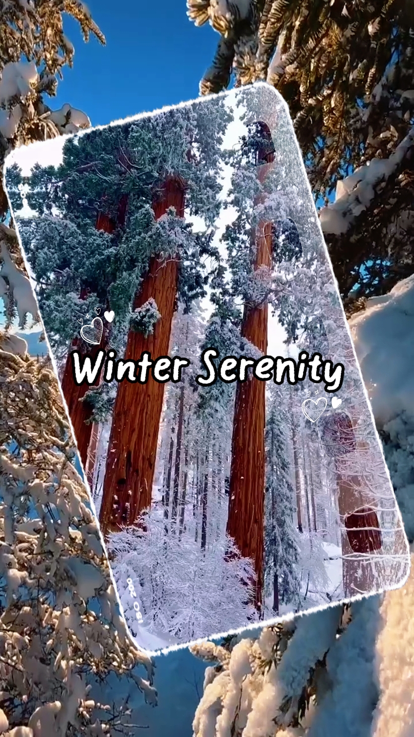 Serenidad de invierno