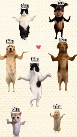Mẫu 7 Người Nè