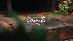 Cinematic 