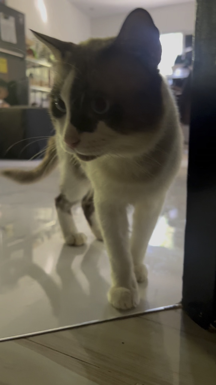 Pogi mo kasi Toby