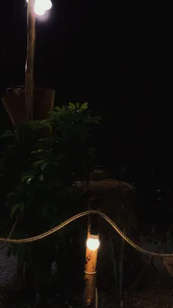 Mẫu màu xmas 2023