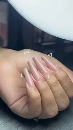 TRANSITION PROFISSIO