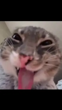 trend tiktok