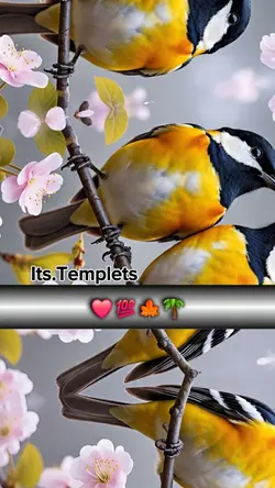 Templets