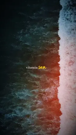 VitaminSEA❤️