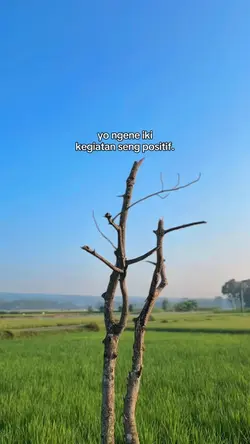 Kegiatan positif 