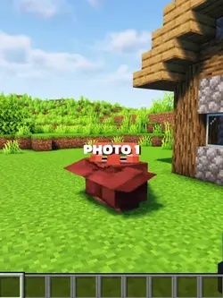 MINECRAFT MEME 3:4