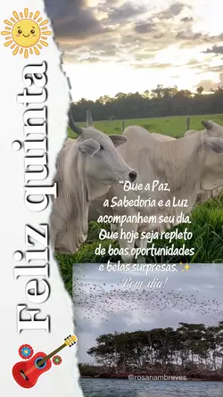Bom dia sertanejo