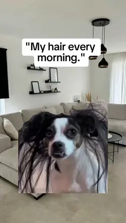 My hair 