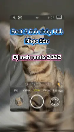 Beat 3 ảnh cháy Msh