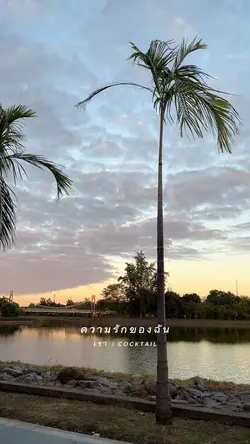 เรา | COCKTAIL
