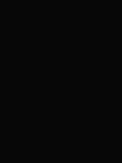 Light!Camera!Action!