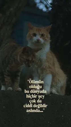 Dünya