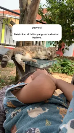Daily irt