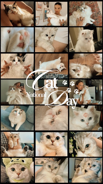 Dia nacional do gato