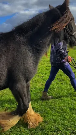 For those “concerned