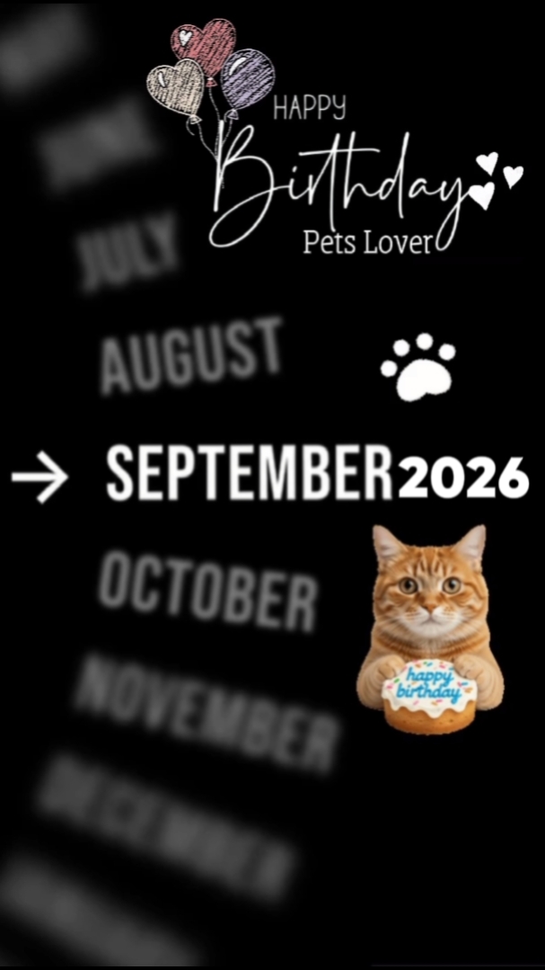 Animais de Estimação HBD
