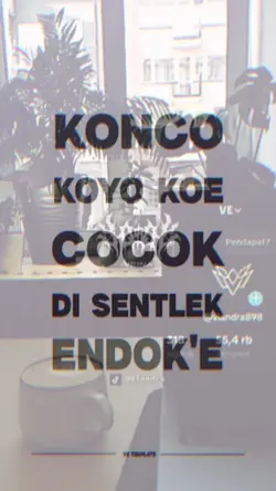 MIROR SENTLEK ENDOKE