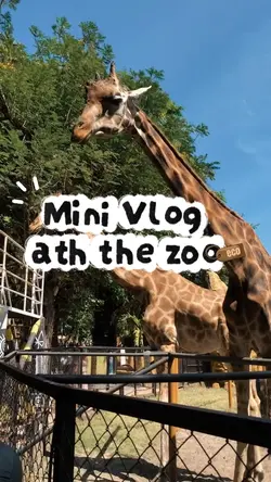 mini vlog zoo