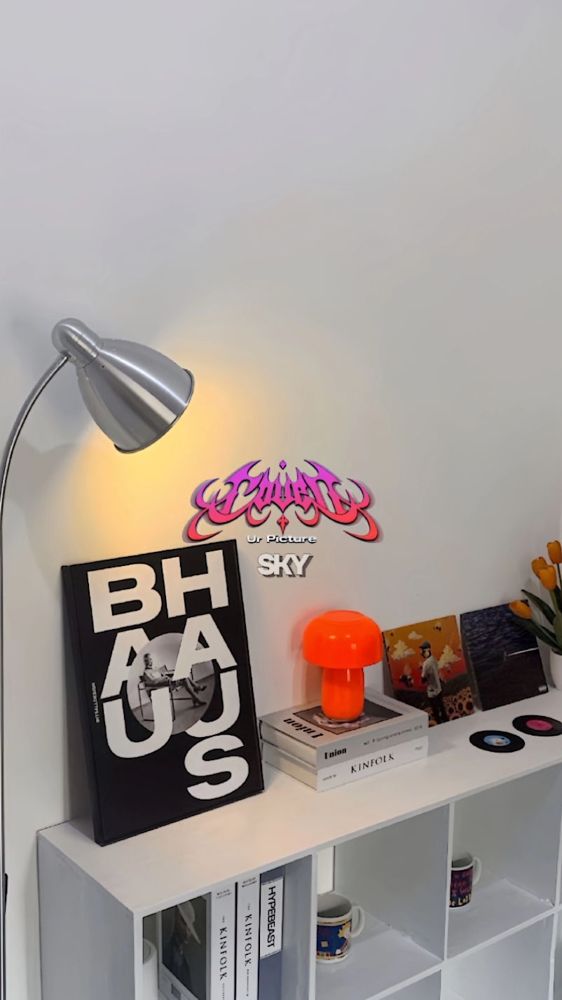 Cover Picture
