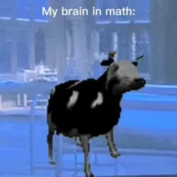 My brain in math
