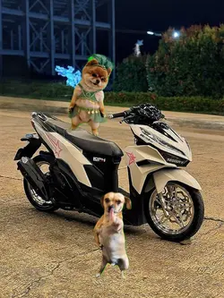 anjing joget