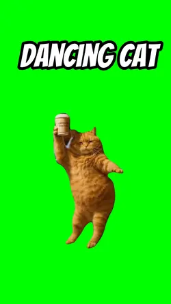 Dancing cat