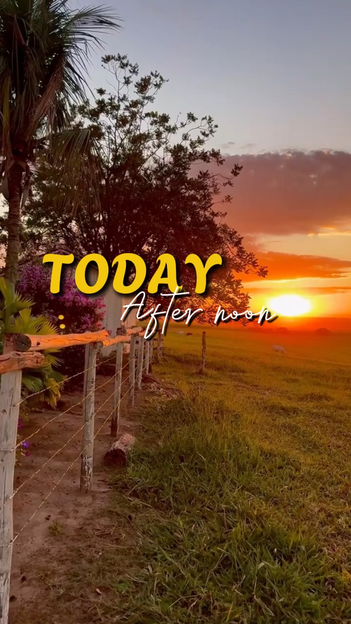 Hoy Por La Tarde 